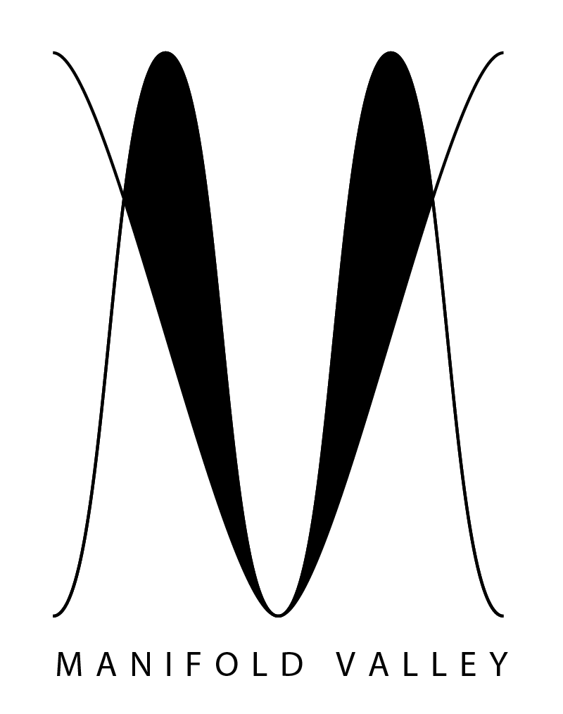 Manifold Valley hires Instinctively Real Media